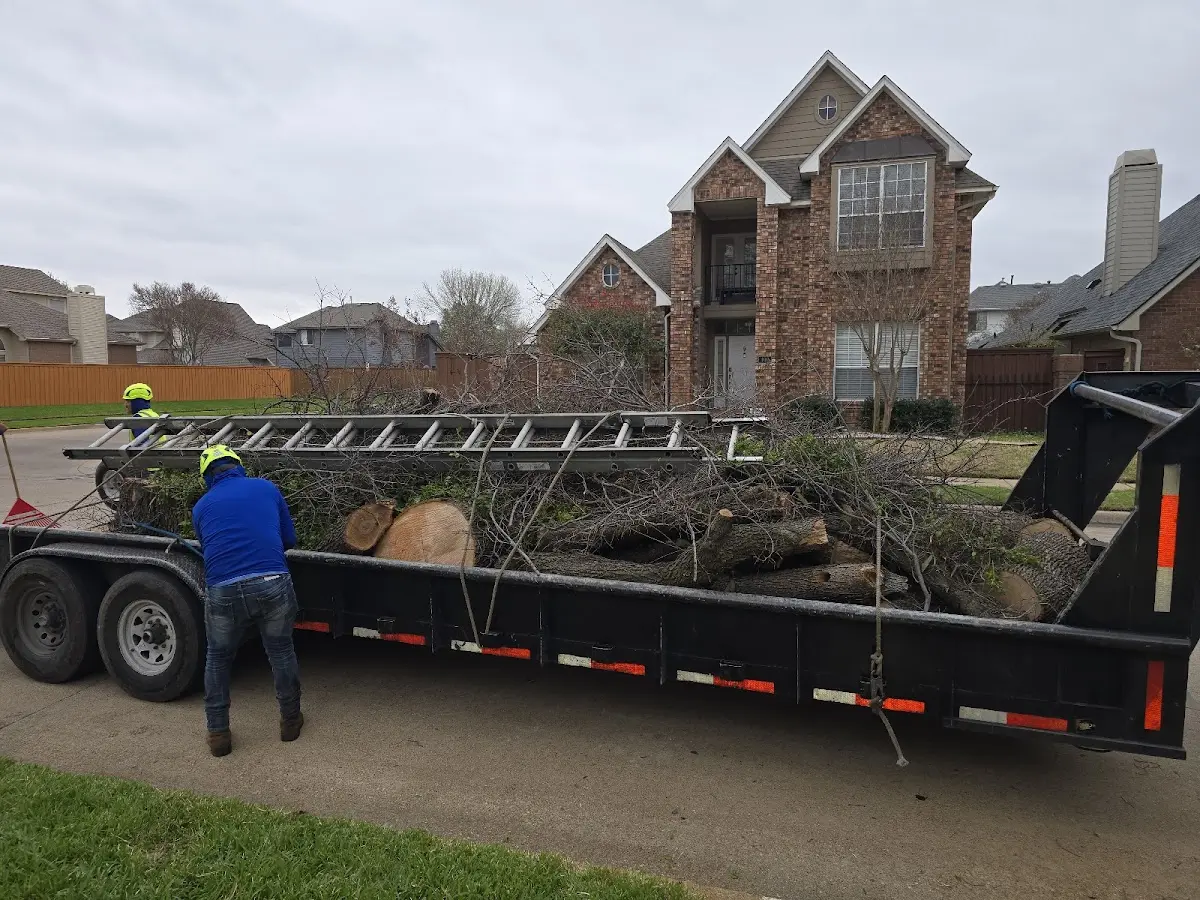 Expert Lot Clearing with proper safety equipment in Fairview